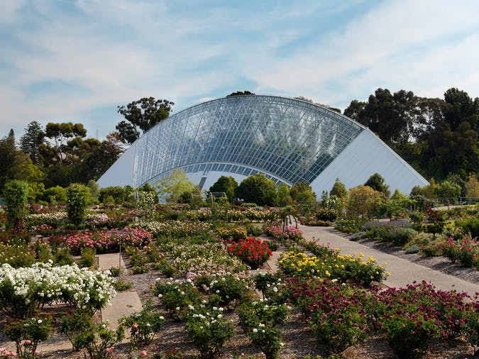 Adelaide Botanic Garden photo 2