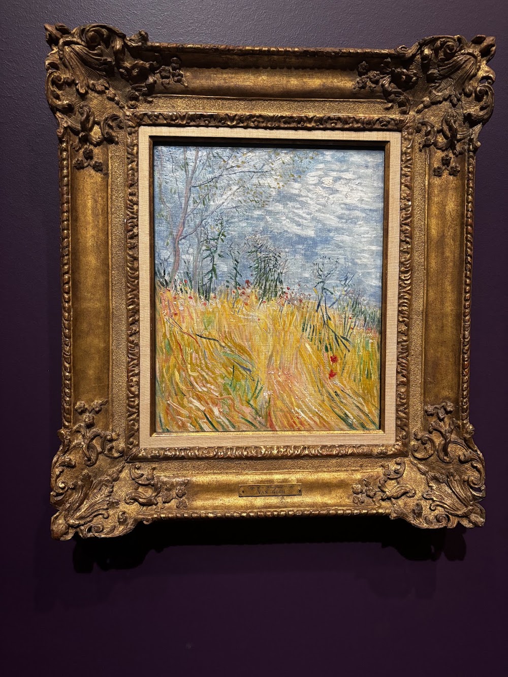 Denver Art Museum photo 3