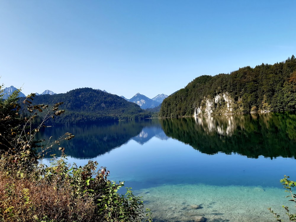 Alpsee Lake photo 3