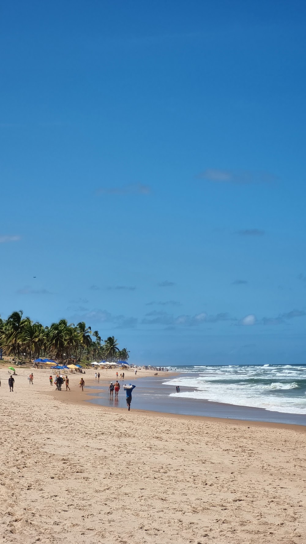 Praia de Stella Maris photo 2
