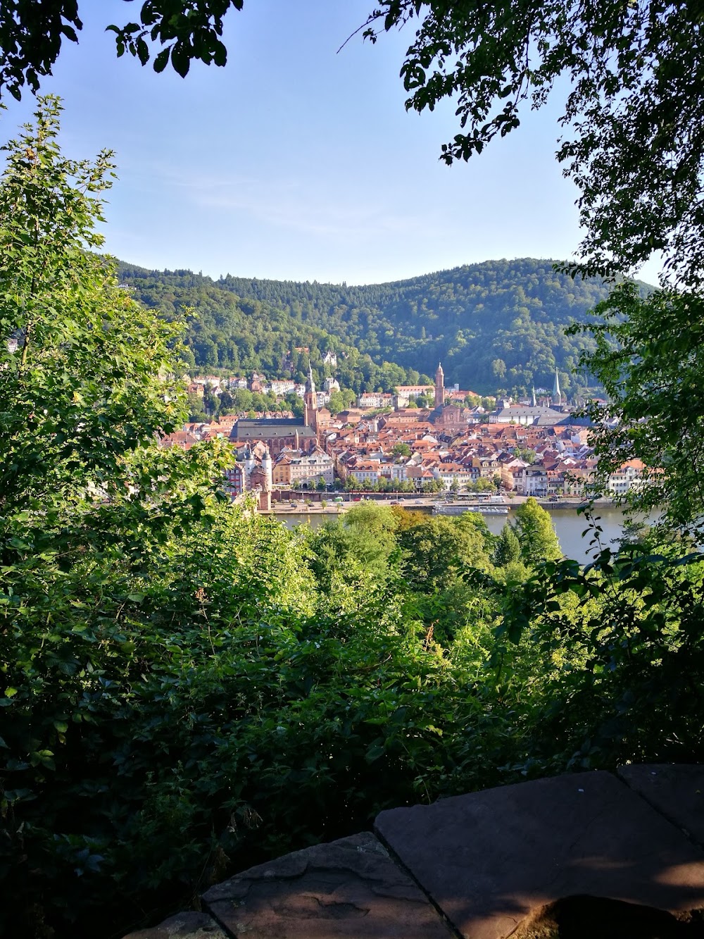 Philosophers' Walk (Philosophenweg) photo 2
