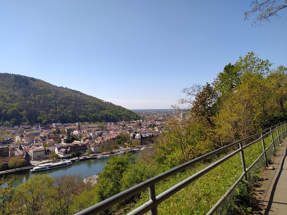 Philosophers' Walk (Philosophenweg) photo 3