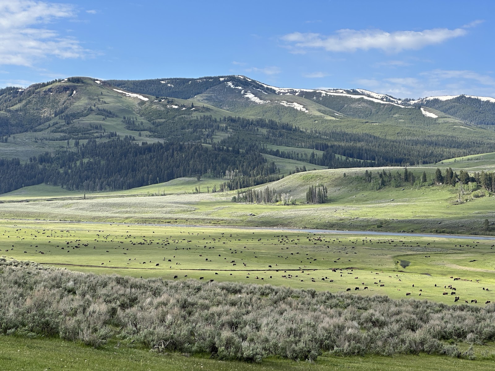 Lamar Valley