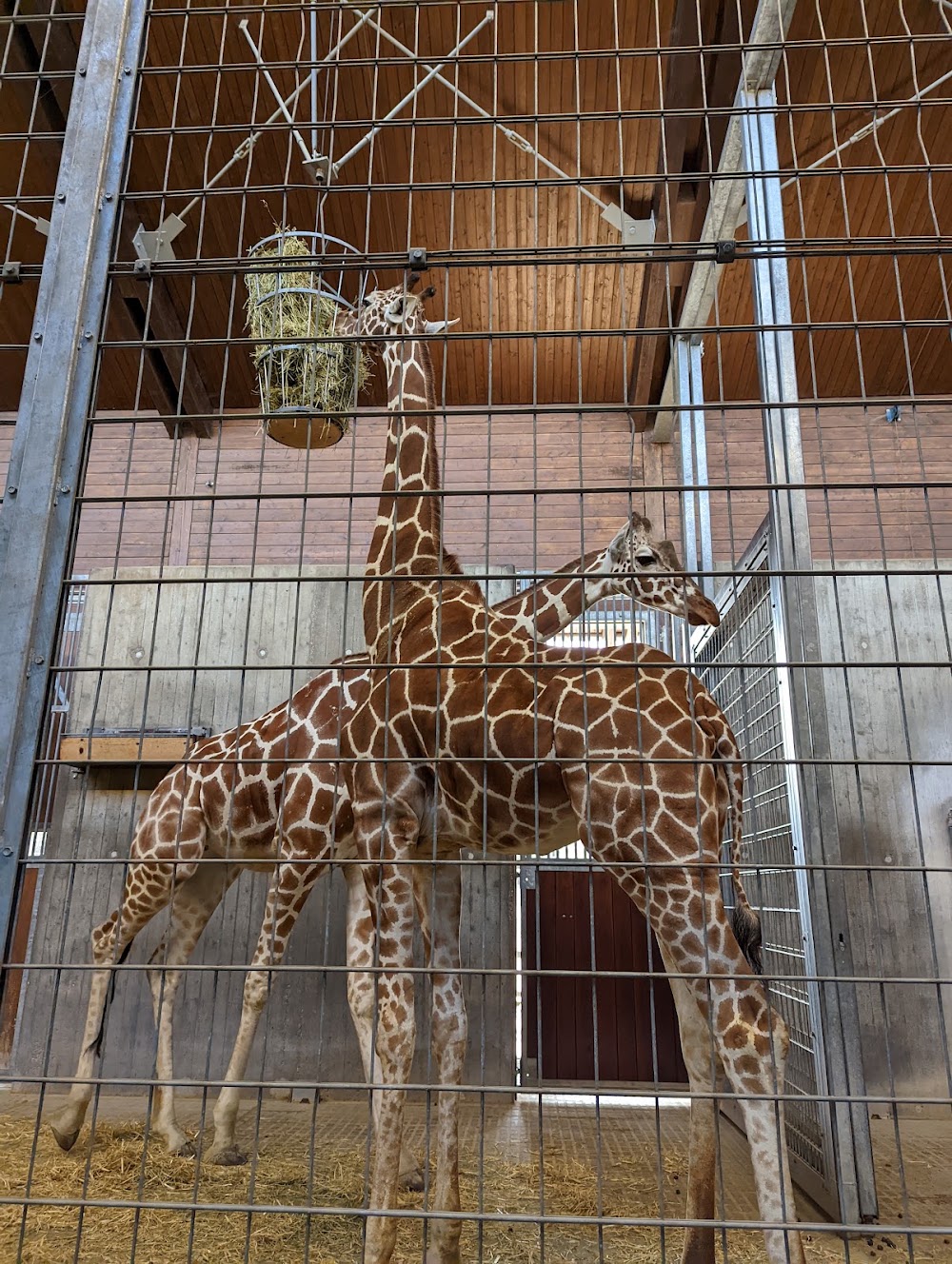 Wilhelma - Zoological-botanical garden photo 3