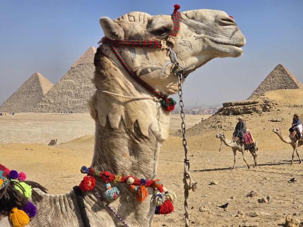 Panoramic view from the Giza Plateau photo 2