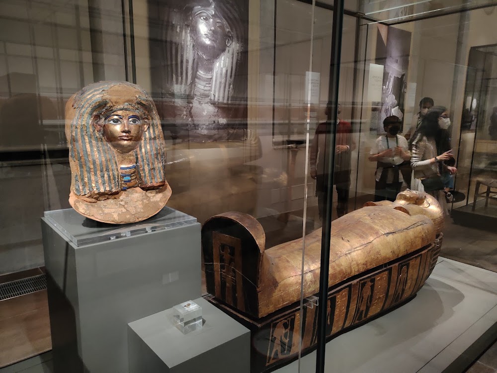 Museo Egizio photo 3