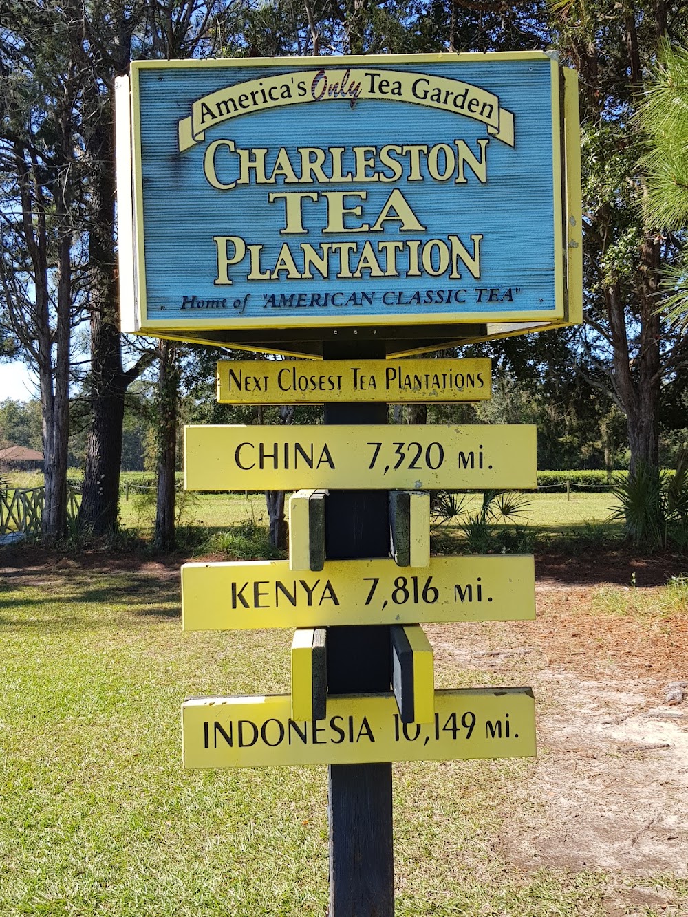Charleston Tea Garden