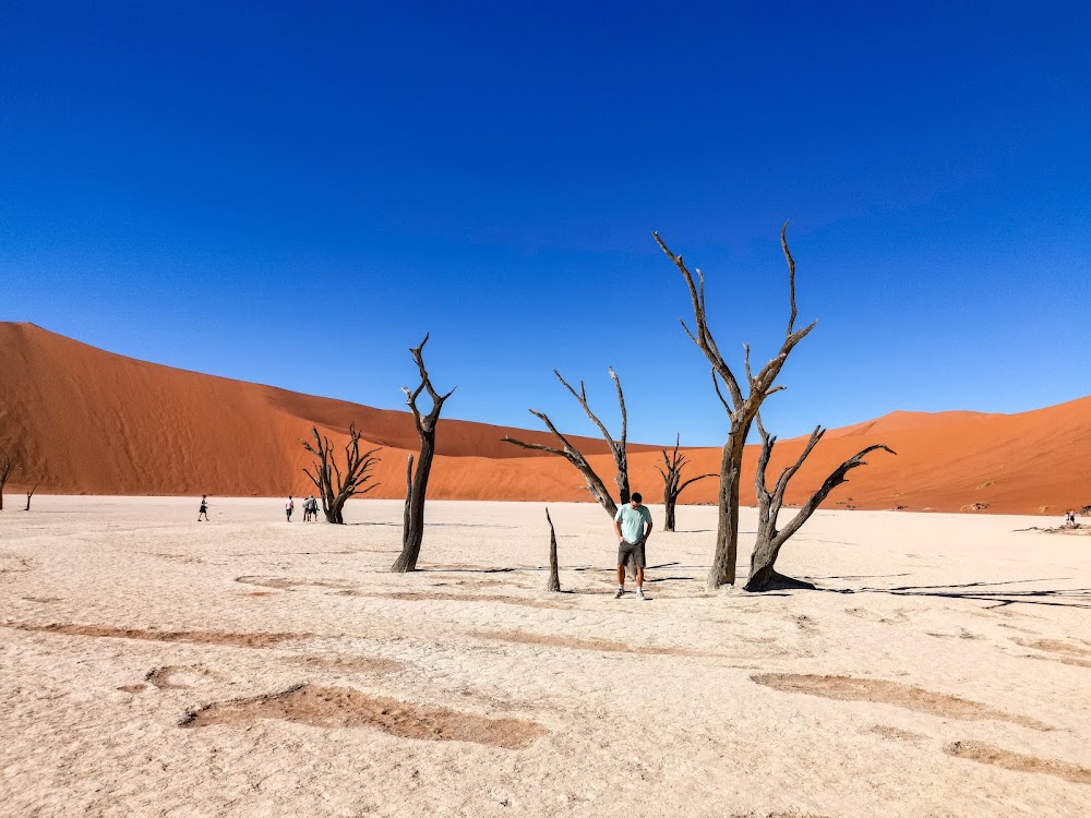 Deadvlei