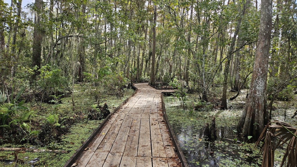 Jean Lafitte National Historical Park and Preserve photo 3