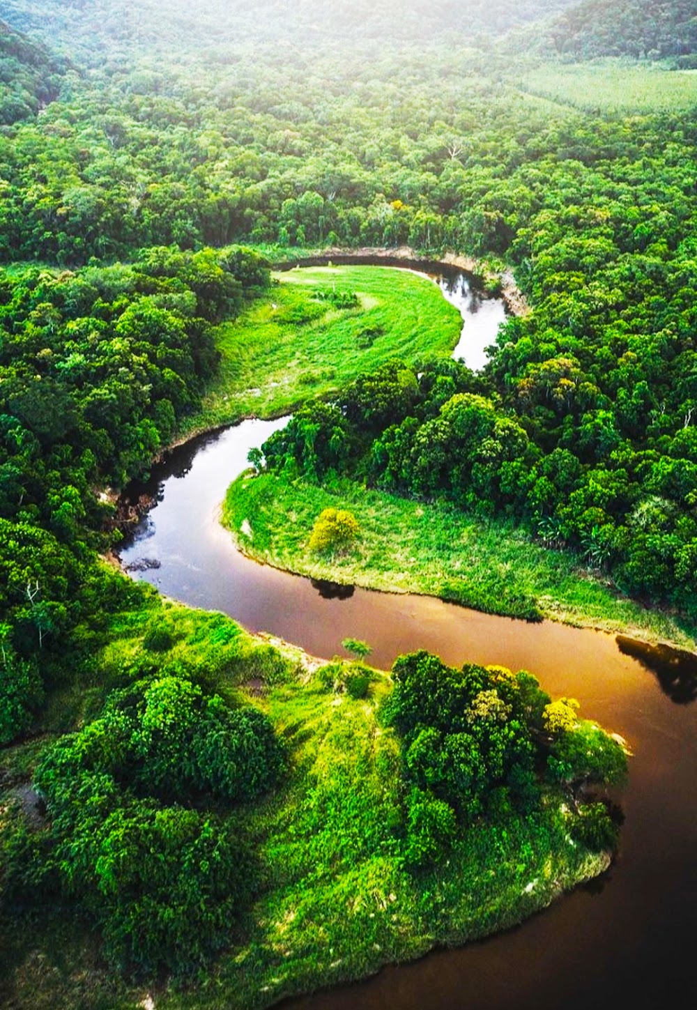 The Amazon River