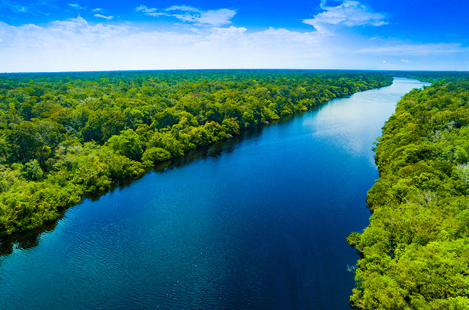 The Amazon River photo 2