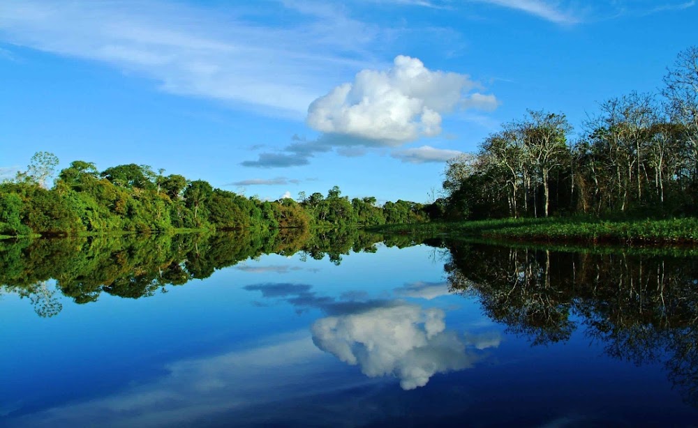 The Amazon River photo 3