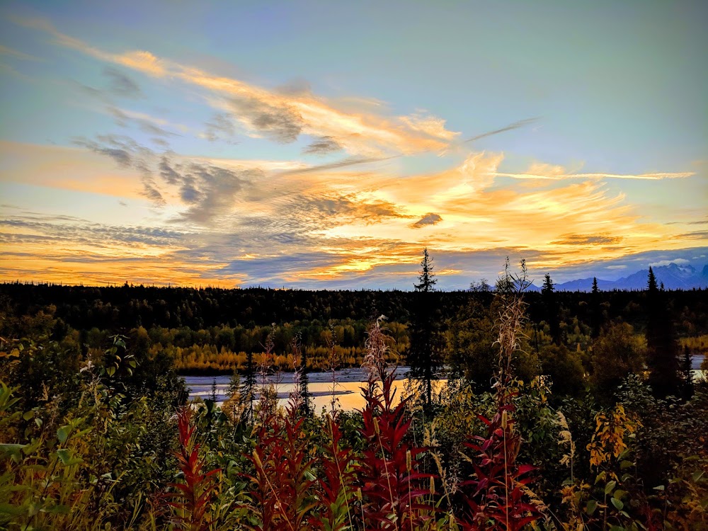 Denali Viewpoint South photo 3