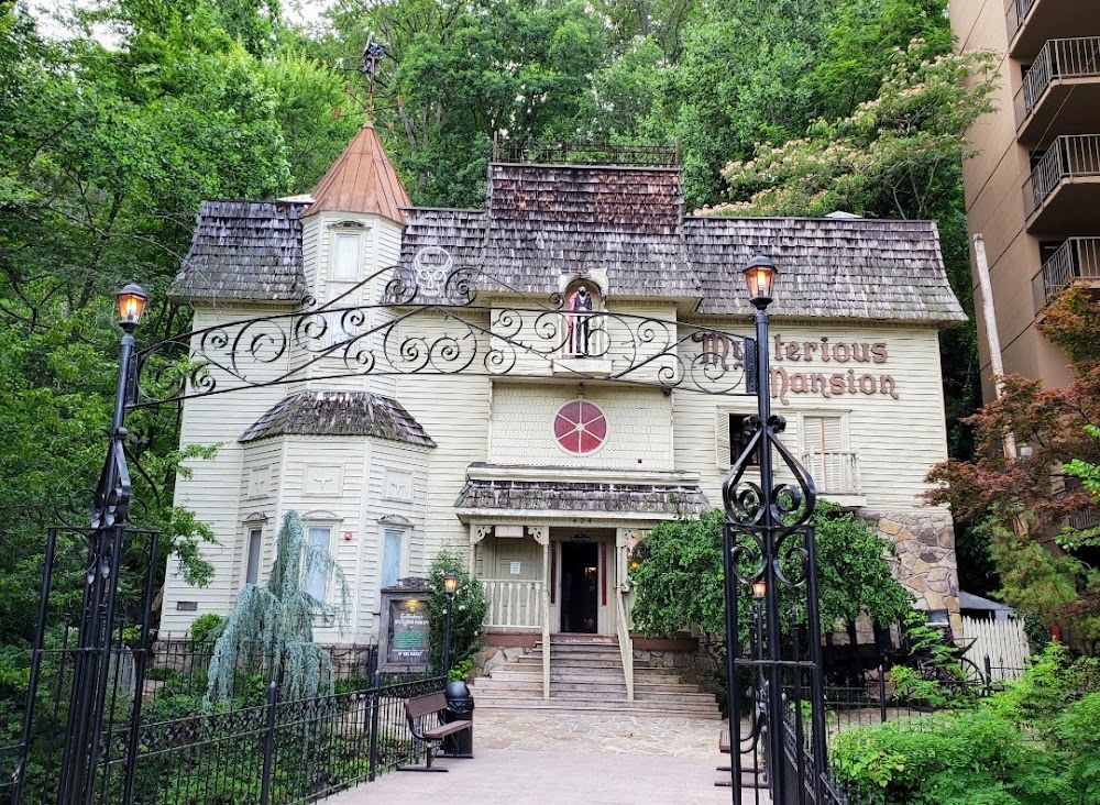 Mysterious Mansion photo 2
