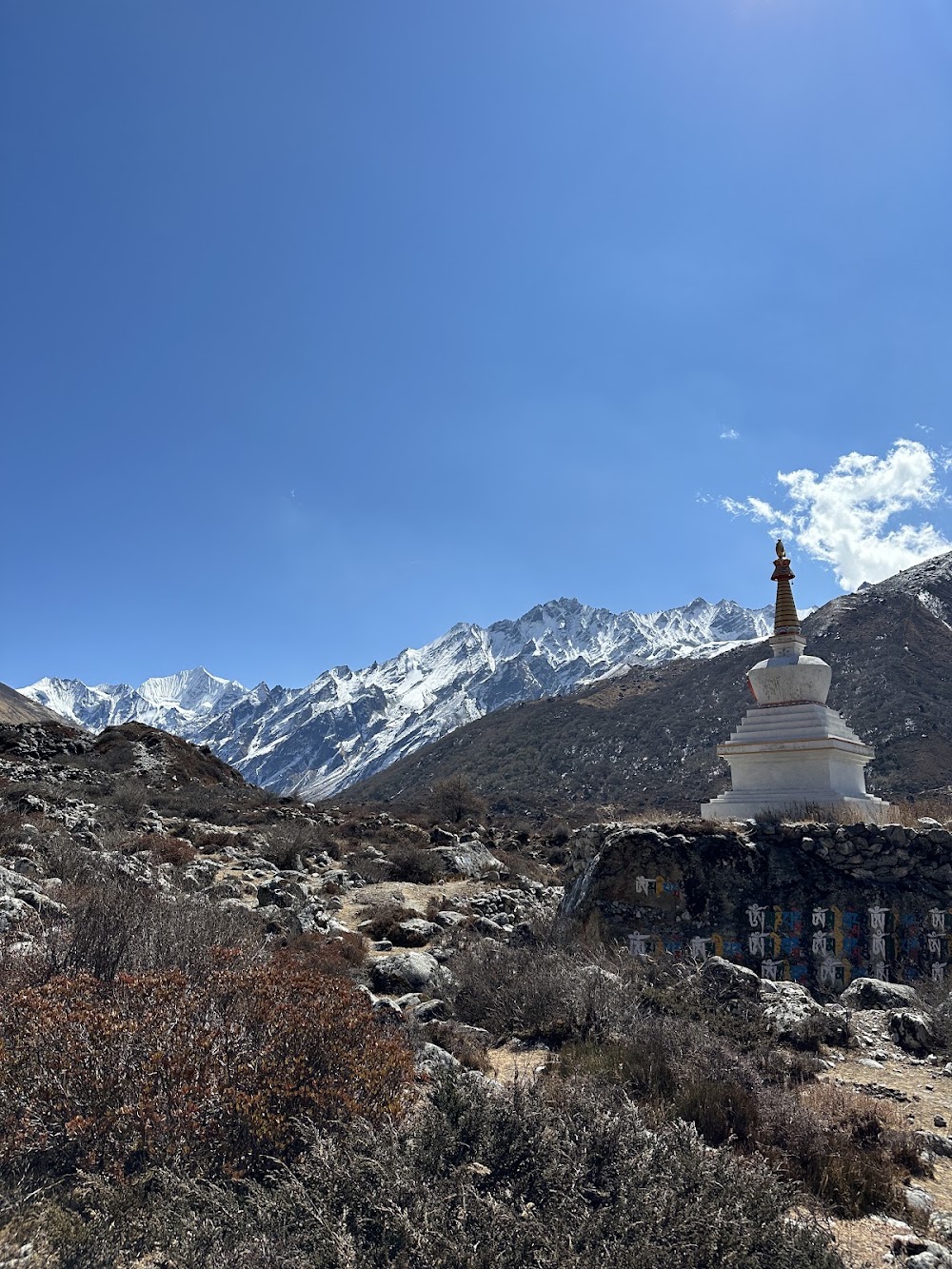 Langtang National Park photo 3