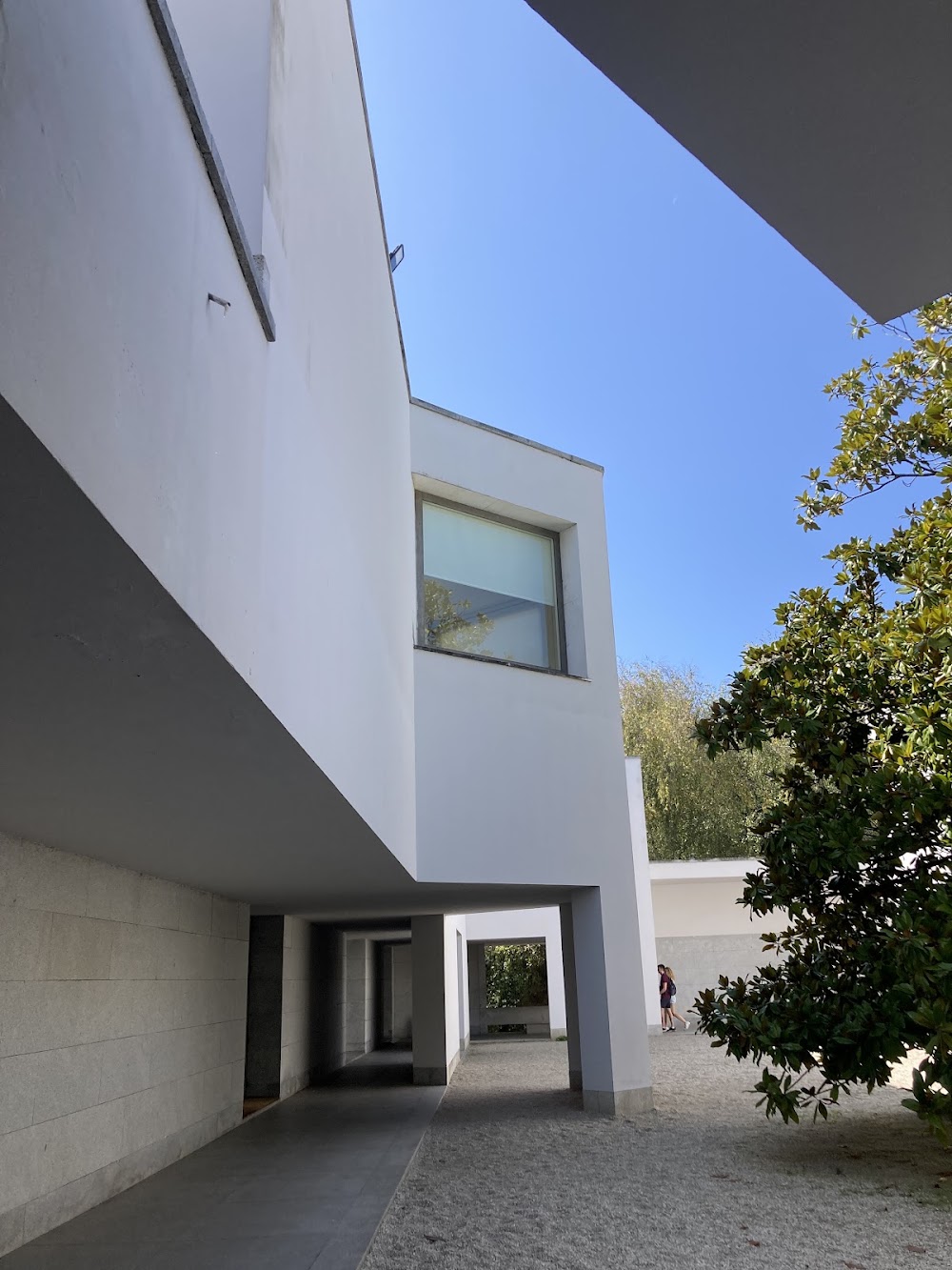 Serralves Museum photo 2