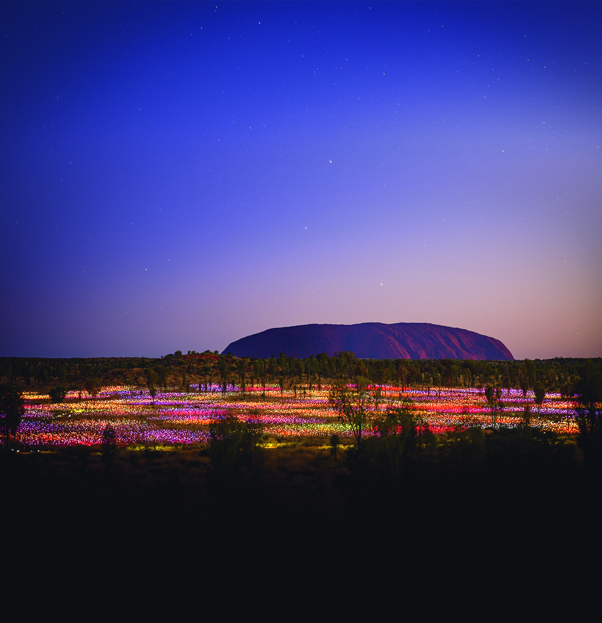 Field of Light