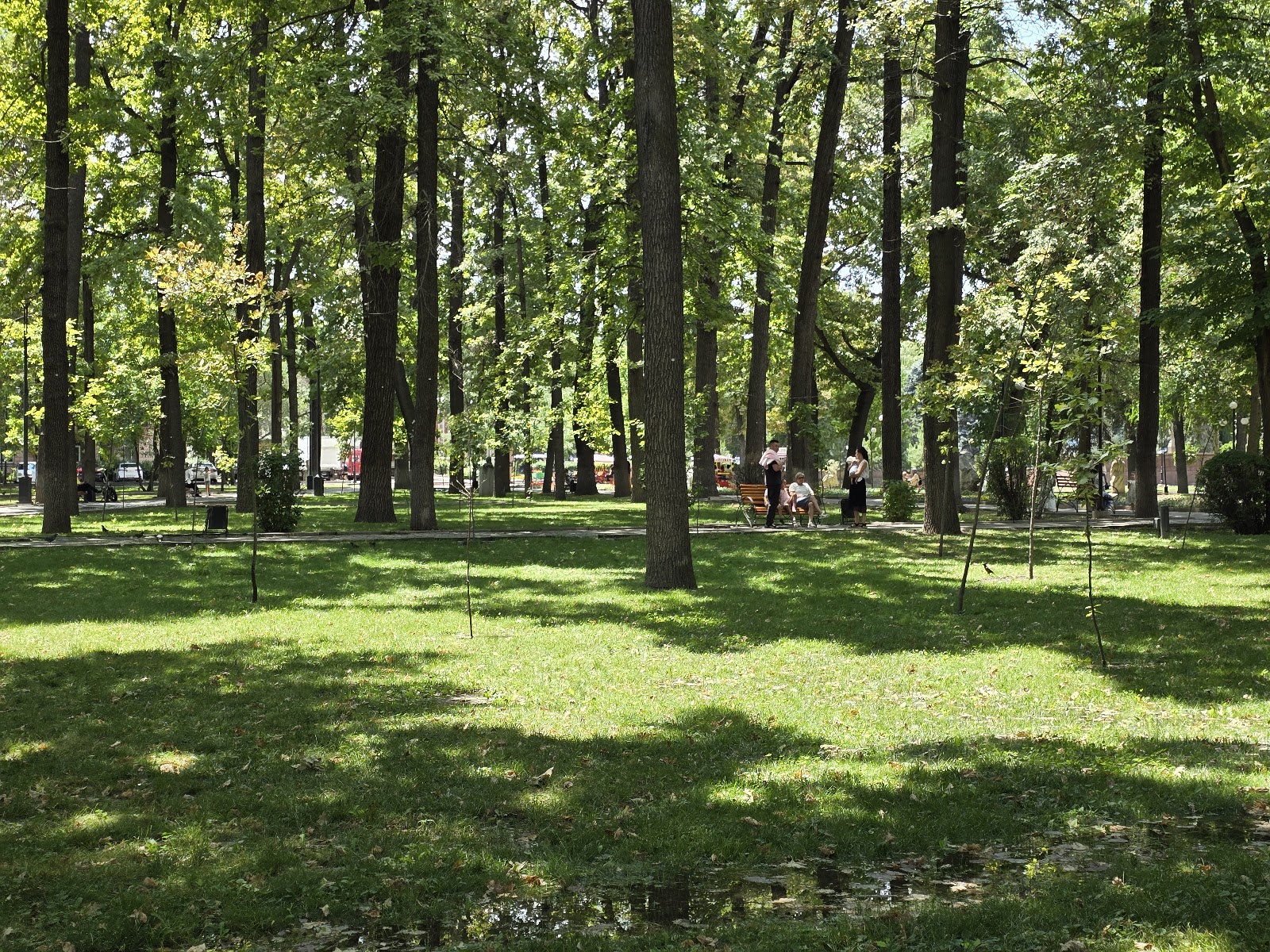 Oak Park photo 2