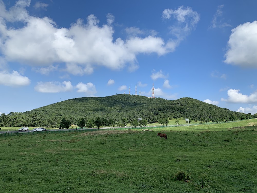 Jeju Horse Park photo 2