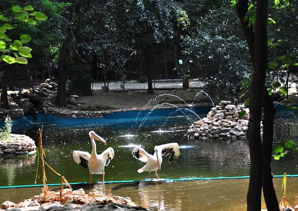 Varna Zoo