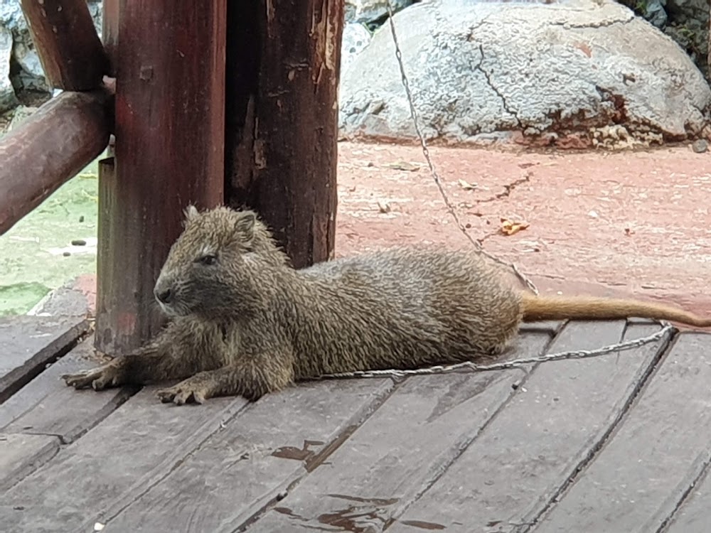 El Baga National Park photo 2