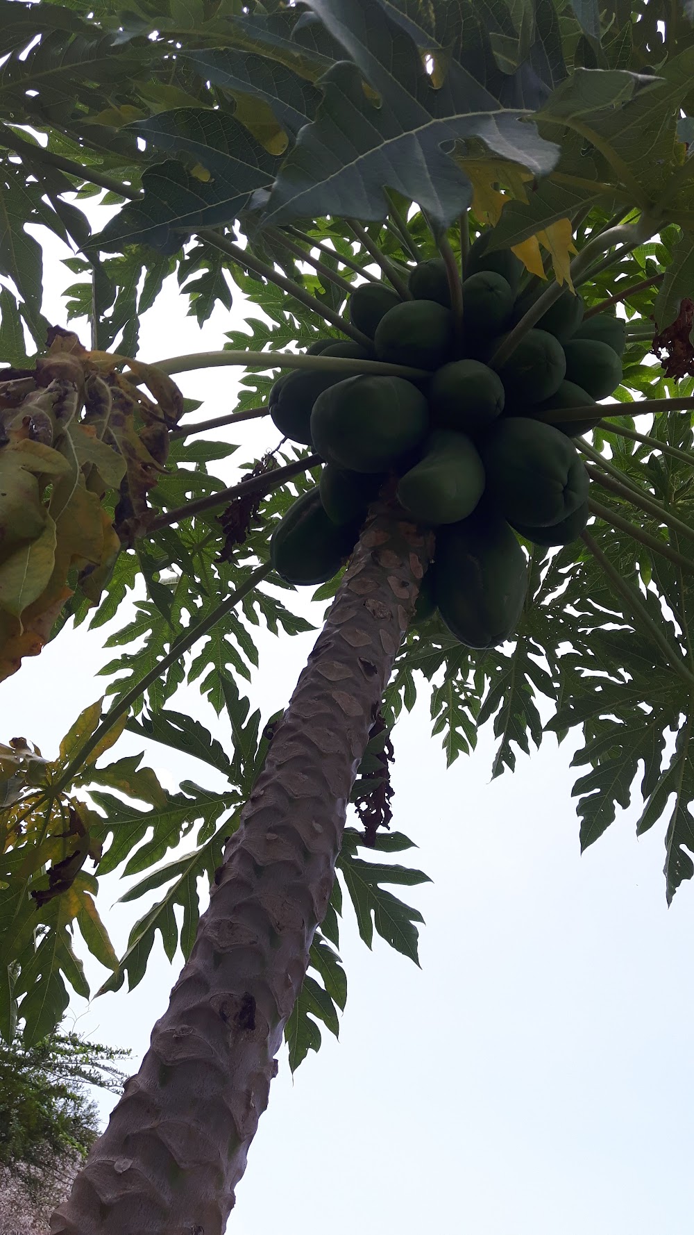 El Baga National Park photo 3
