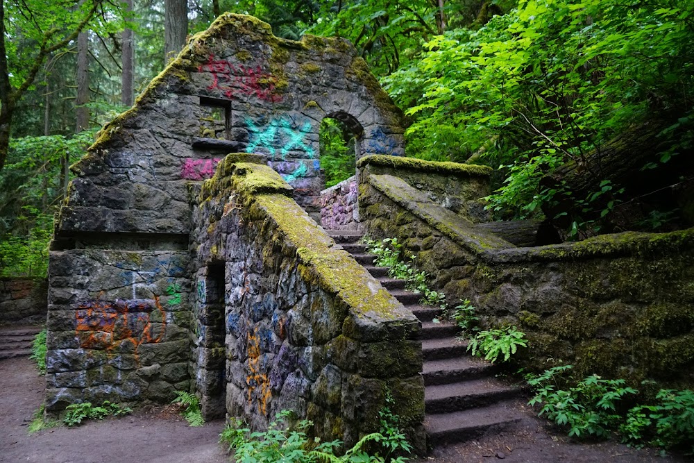 Forest Park photo 2