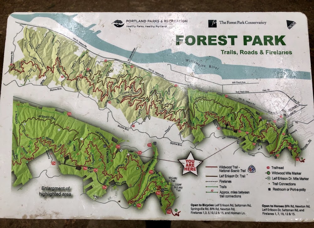Forest Park photo 3