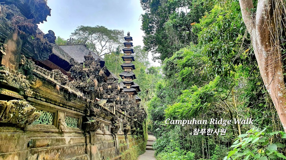 Campuhan Ridge Walk photo 2
