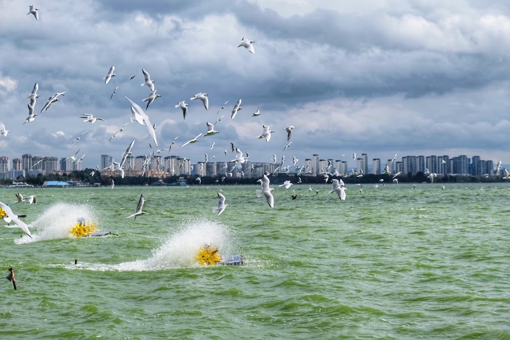 Dianchi Lake photo 2