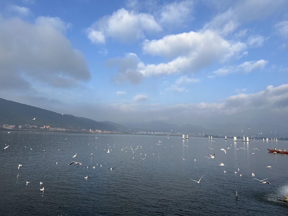 Dianchi Lake photo 3
