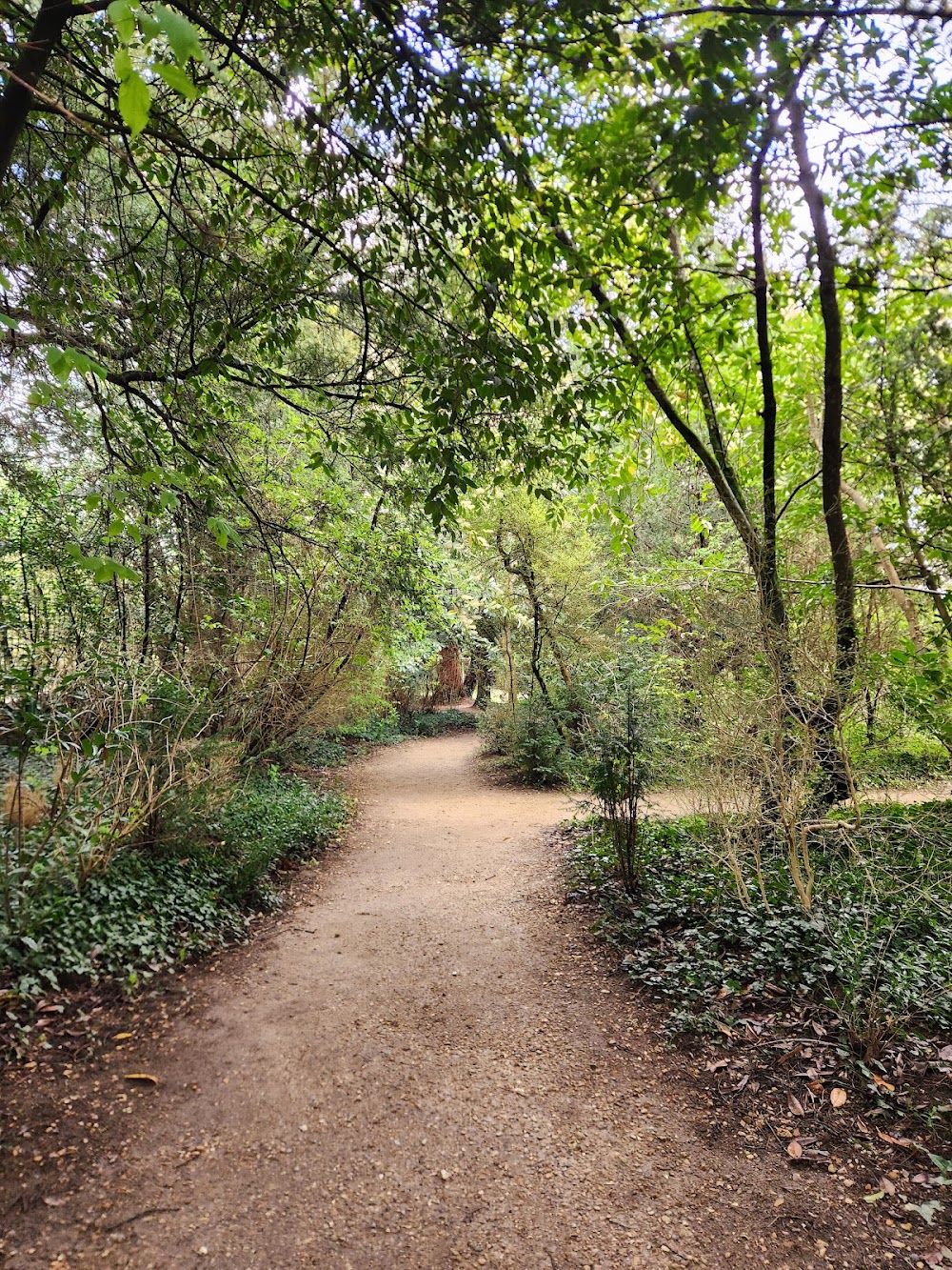 Bosquet de la Reine