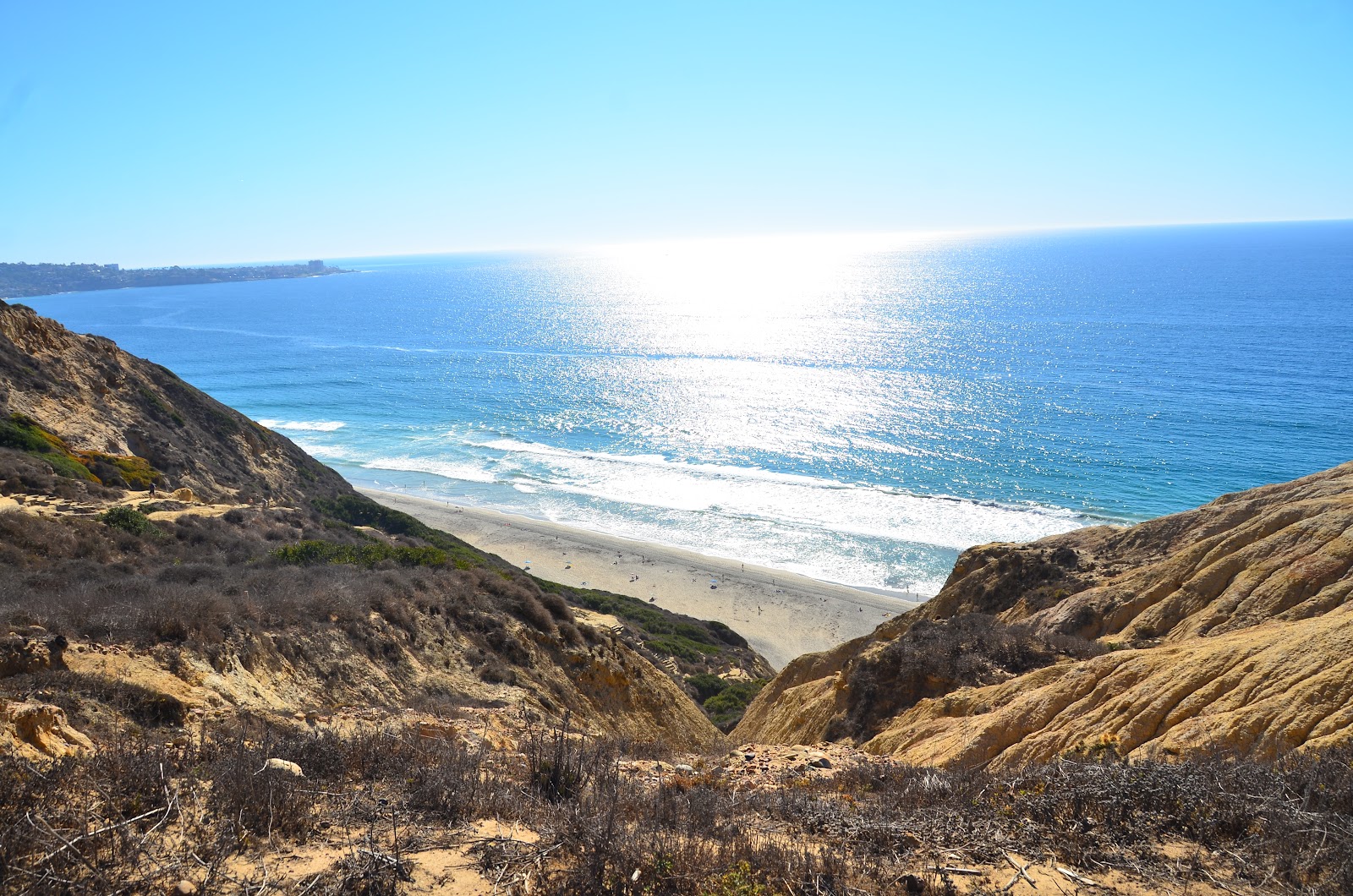 Black's Beach