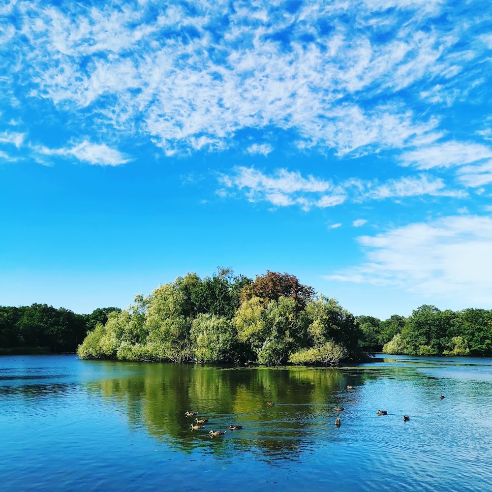 Epping Forest photo 3