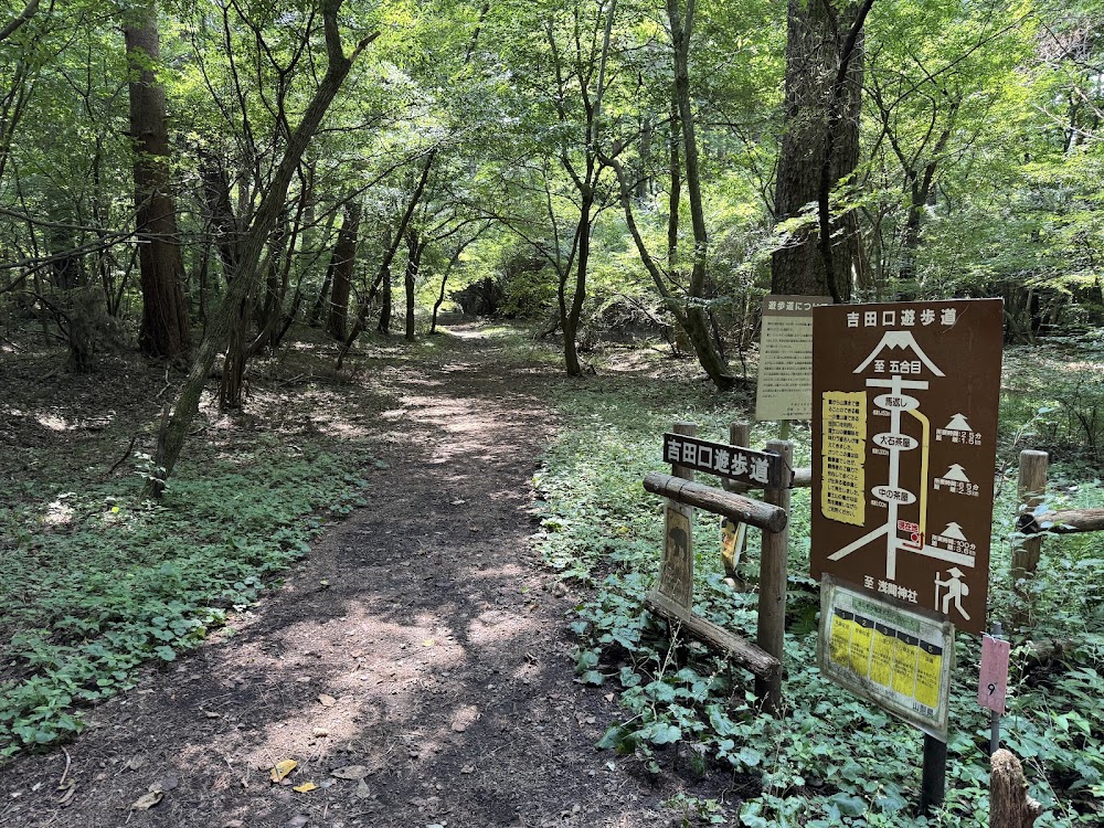 Fujiyoshida Yoshidaguchi Hiking Course