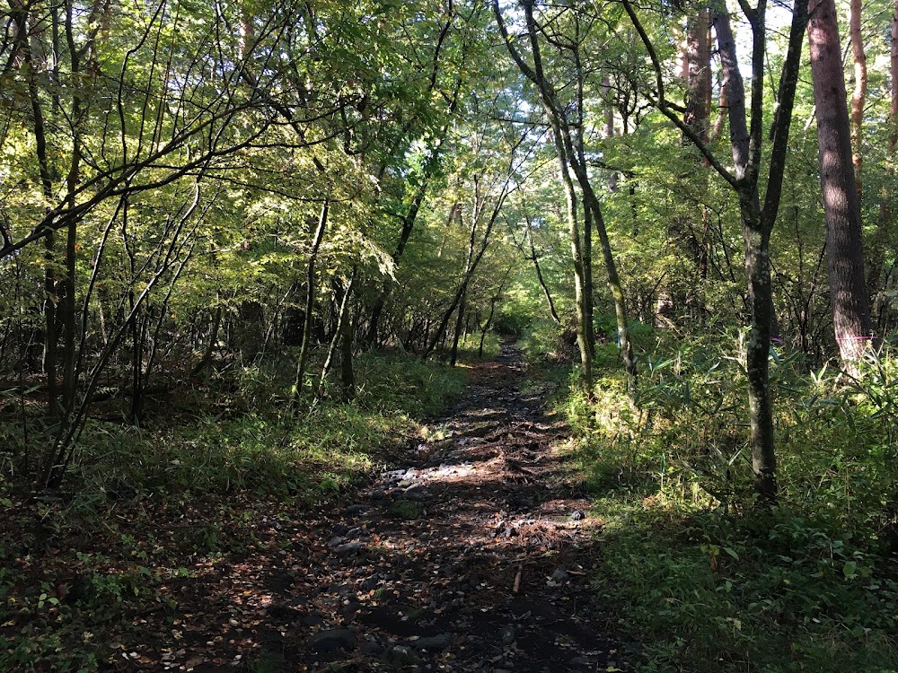 Fujiyoshida Yoshidaguchi Hiking Course photo 2