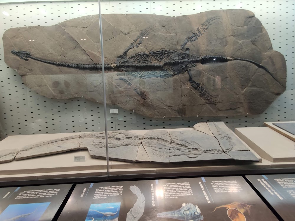 Zhejiang Museum photo 3