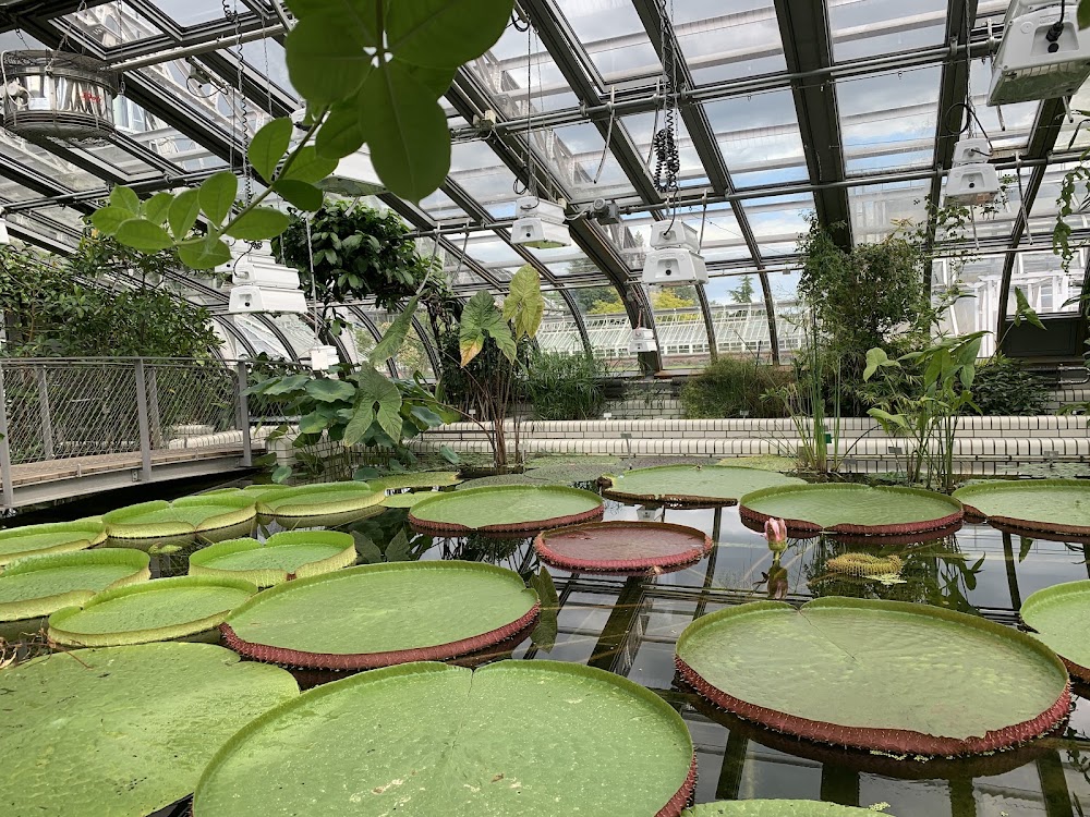 Berlin Botanical Garden