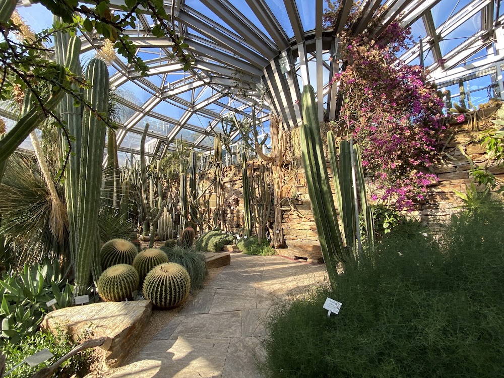 Berlin Botanical Garden photo 3