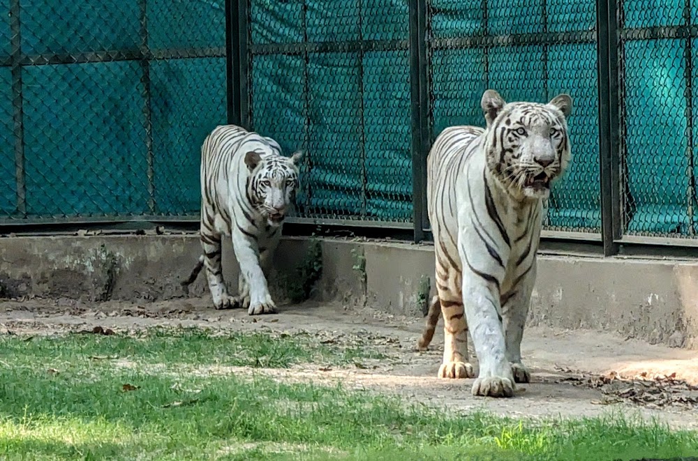 Sarthana Nature Park