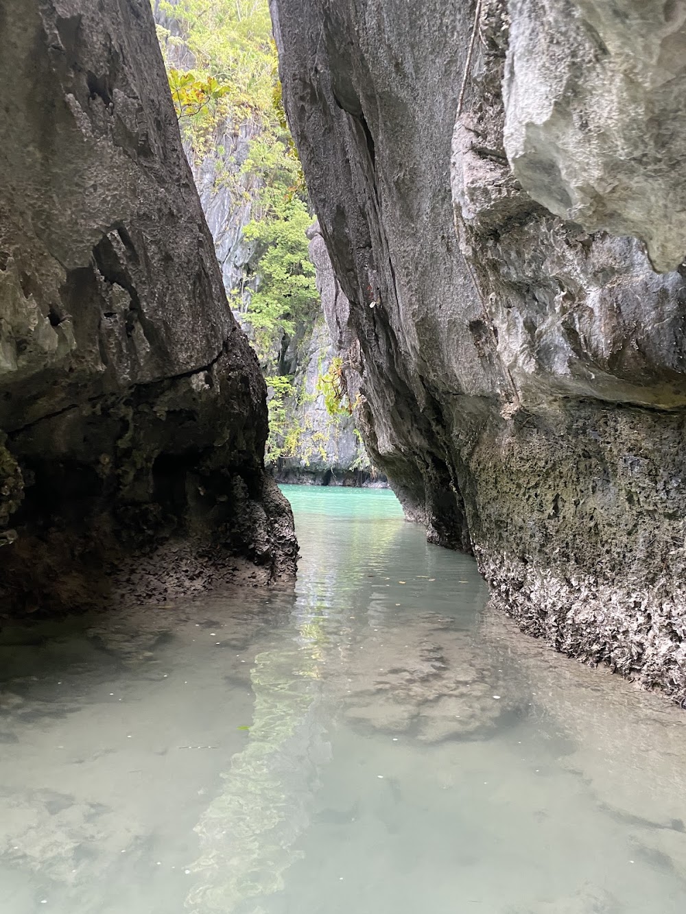 Big Lagoon photo 3