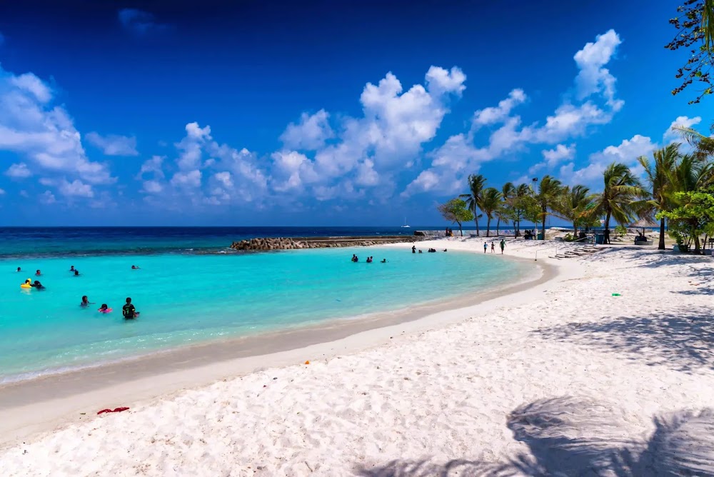 Artificial Beach photo 2