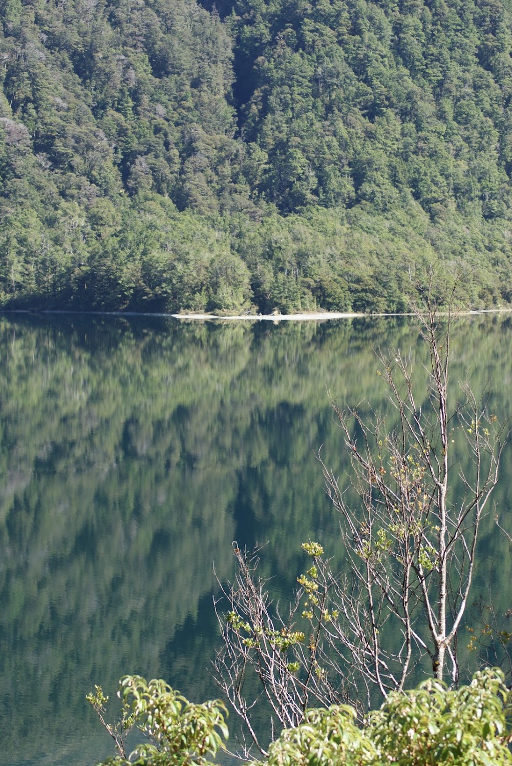 Milford Road photo 2