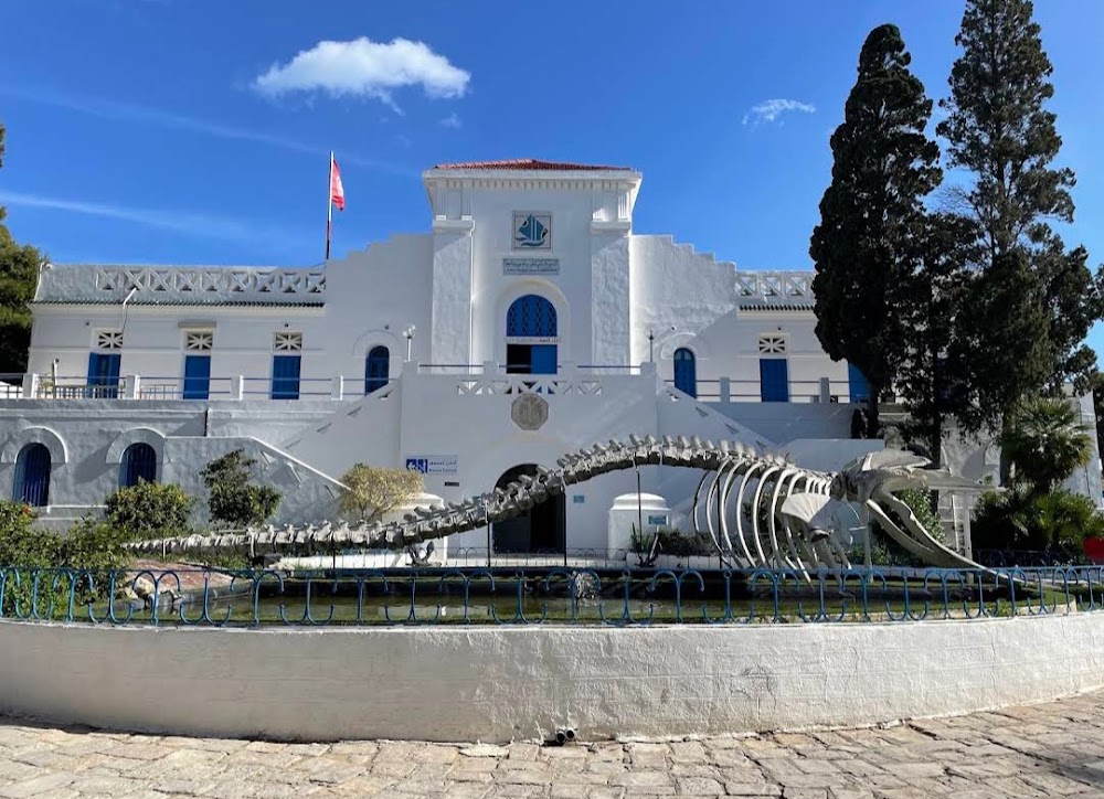 Salammbo Oceanographic Museum