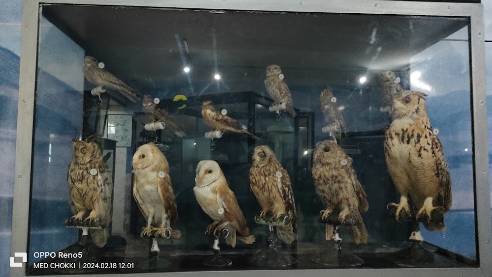 Salammbo Oceanographic Museum photo 3