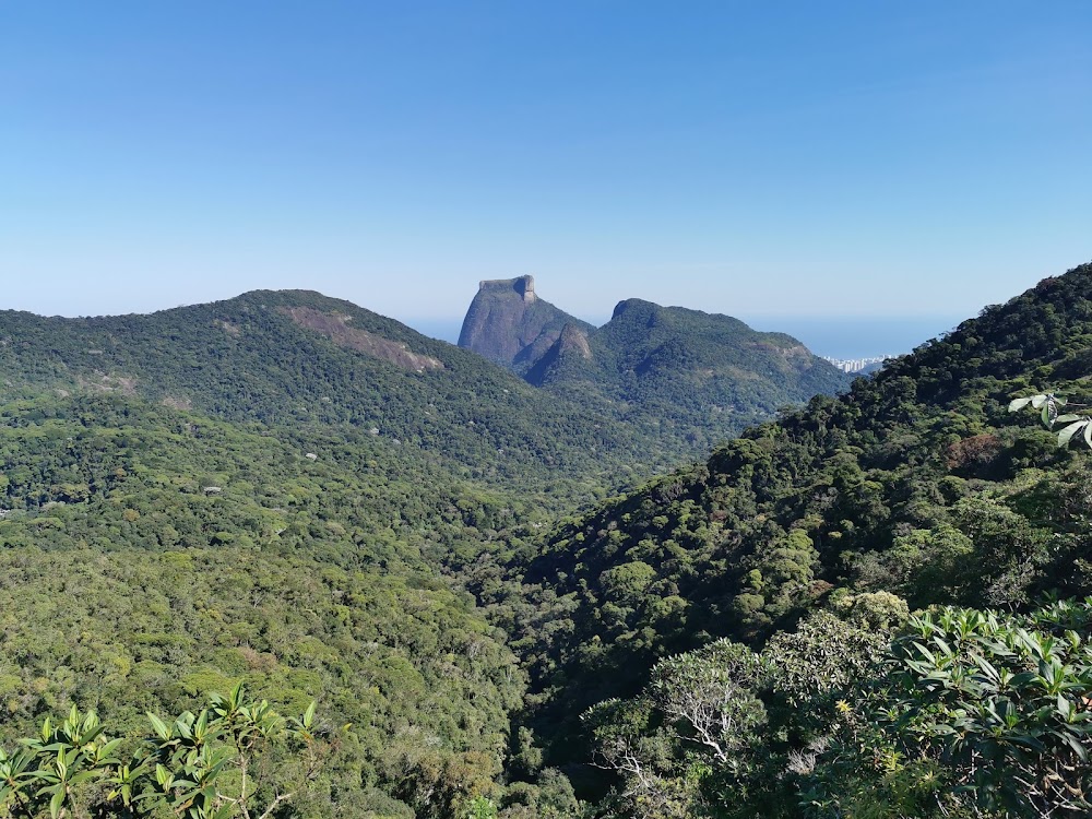 Tijuca National Park photo 3
