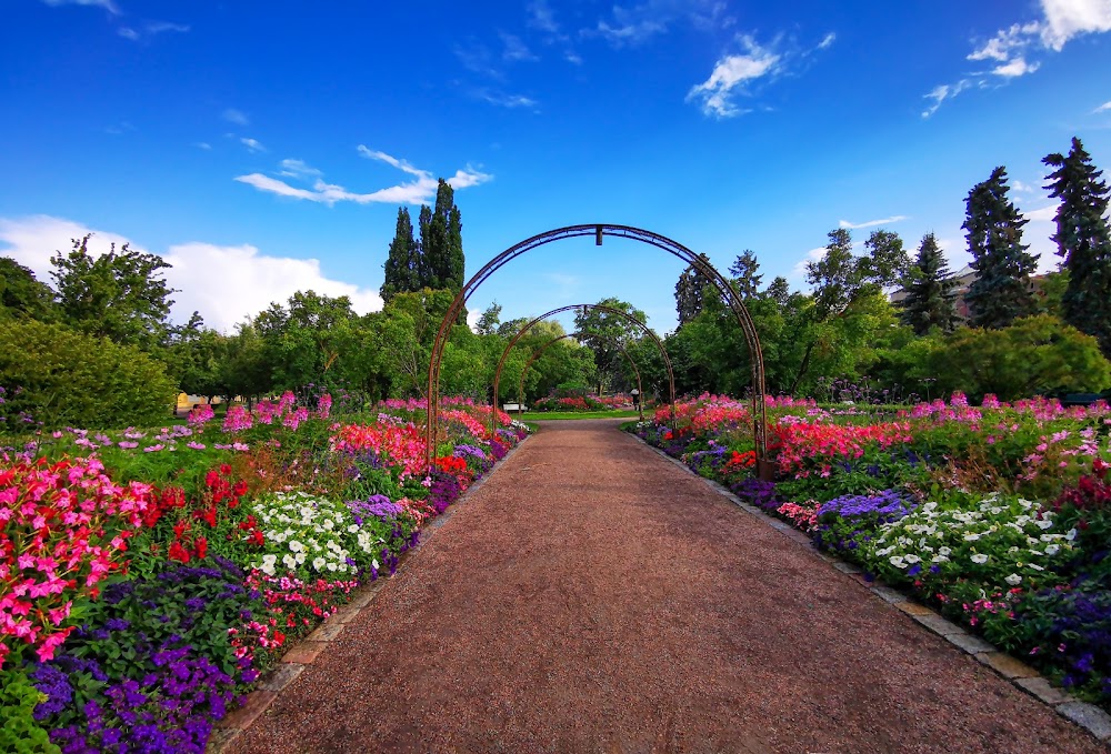 Stadsträdgården photo 2