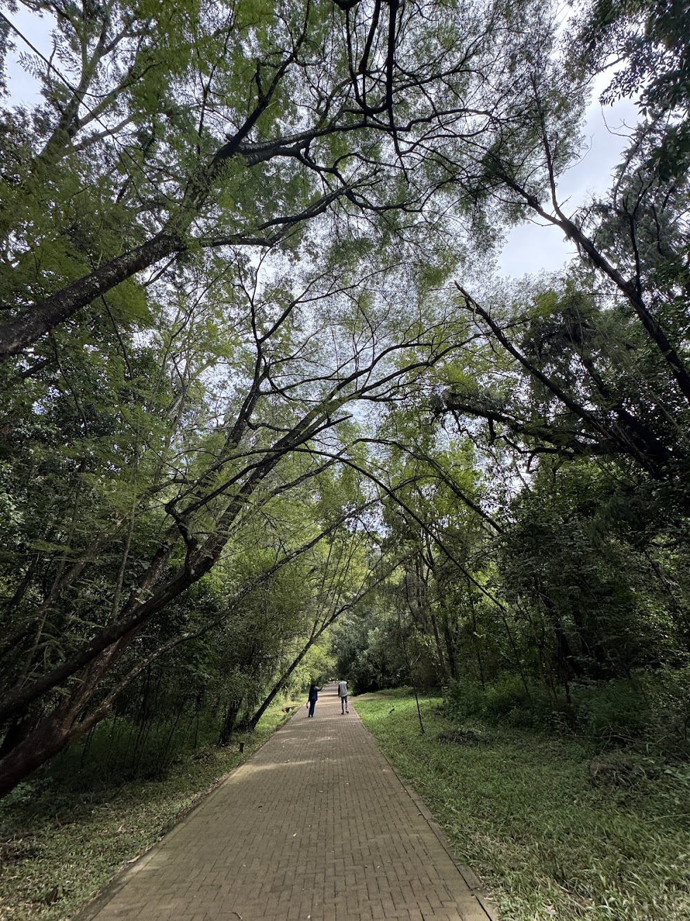 Arboretum