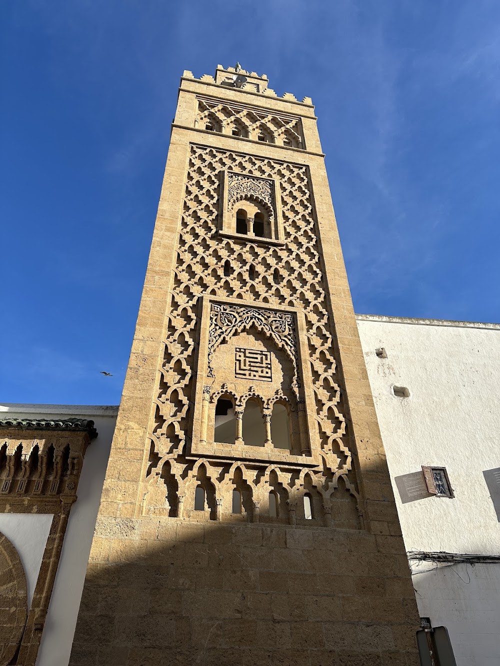 Dar el Makhzen