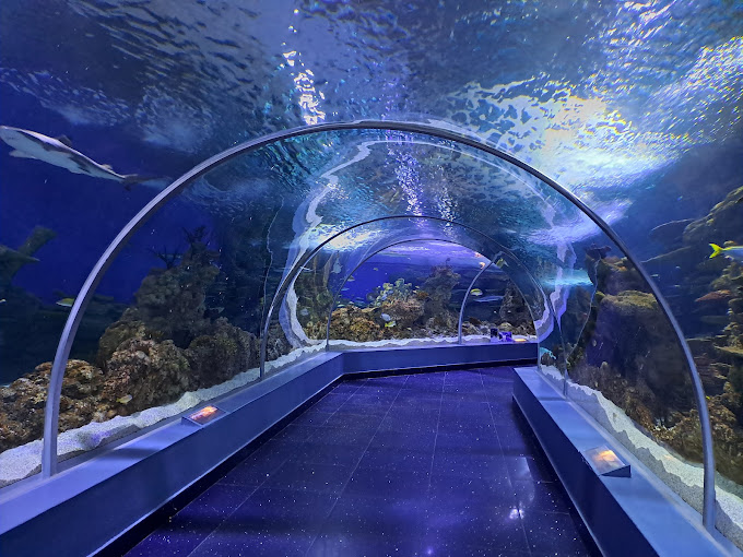 Fakieh Aquarium